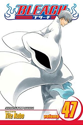 Bleach, Vol. 47: End Of The Chrysalis Age-..