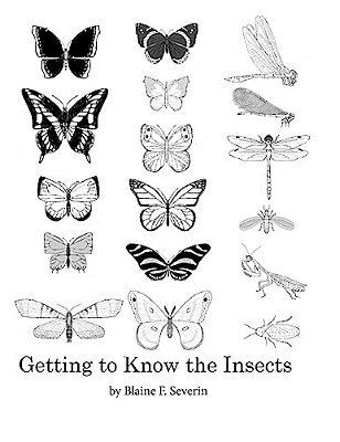 Getting To Know The Insects-..