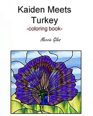 Kaiden Meets Turkey-..