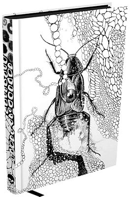 A Metamorfose - Hardcover