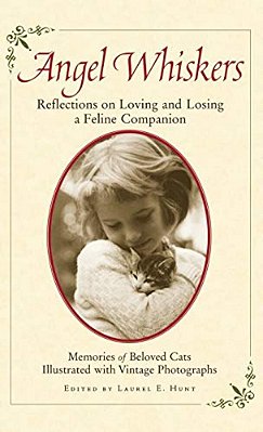 Angel Whiskers: Reflections On Loving And Losing A Feline Companion-..