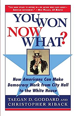 You Won--now What?: How Americans Can Make Democracy Work From City Hall To The White House-..