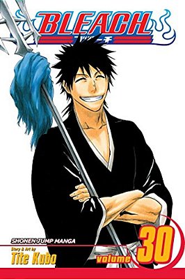Bleach, Vol. 30: There Is No Heart Without You-..