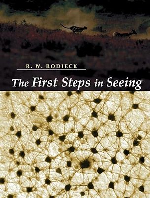 The First Steps In Seeing-..