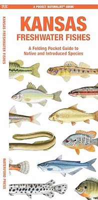 Kansas Freshwater Fishes: A Folding Pocket Guide To Native And Introduced Species-..