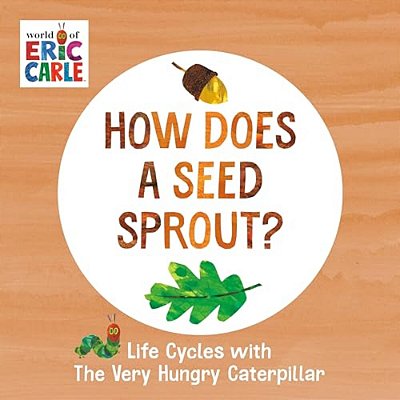 How Does A Seed Sprout? Life Cycles With The Very Hungry Caterpillar-..