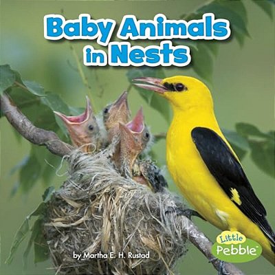 Baby Animals In Nests-..