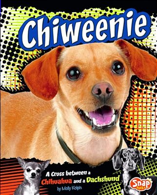 Chiweenie: A Cross Between A Chihuahua And A Dachshund-..