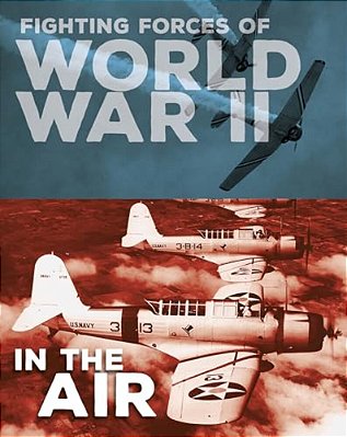 Fighting Forces Of World War II In The Air-..