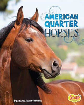 American Quarter Horses-..
