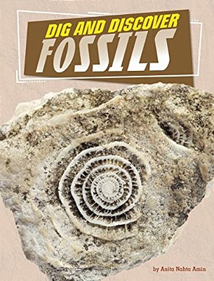 Dig And Discover Fossils-..