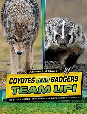 Coyotes And Badgers Team Up!-..