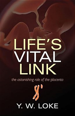 Life's Vital Link: The Astonishing Role Of The Placenta-..