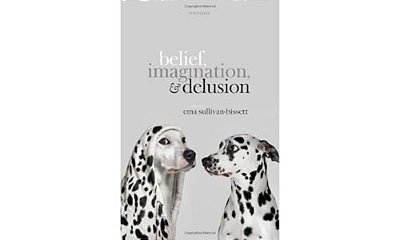 Belief, Imagination, And Delusion-..