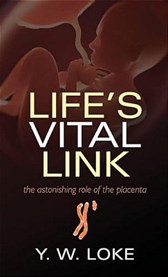 Life's Vital Link: The Astonishing Role Of The Placenta-..
