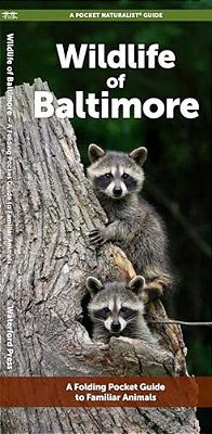 Wildlife Of Baltimore: A Folding Pocket Guide To Familiar Animals-..