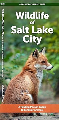 Wildlife Of Salt Lake City: A Folding Pocket Guide To Familiar Animals-..