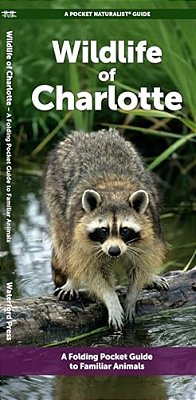 Wildlife Of Charlotte: A Folding Pocket Guide To Familiar Animals-..