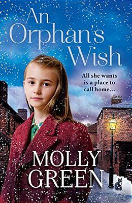 An Orphan's Wish-..