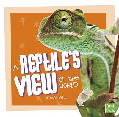 A Reptile's View Of The World-..