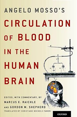Angelo Mosso's Circulation Of Blood In The Human Brain-..