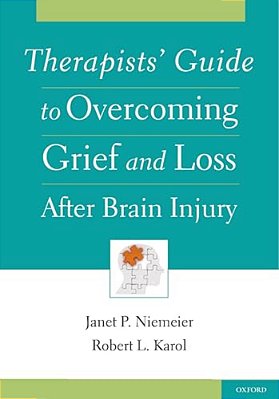 Therapists' Guide To Overcoming Grief And Loss After Brain Injury-..
