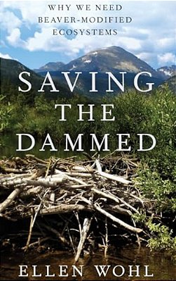 Saving The Dammed: Why We Need Beaver-Modified Ecosystems-..