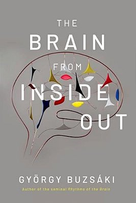 Brain From Inside Out-..