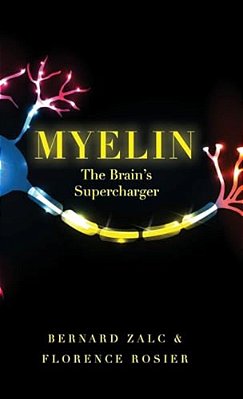 Myelin: The Brain's Supercharger-..