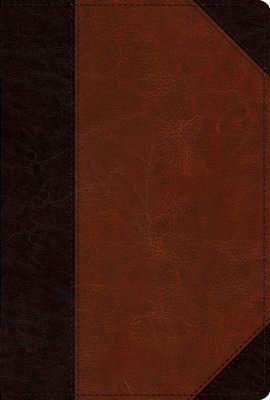 Esv Men's Study Bible (Trutone, Brown/Cordovan, Portfolio Design)-..