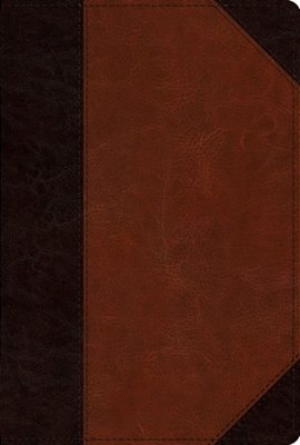 Esv Men's Study Bible (Trutone, Brown/Cordovan, Portfolio Design)-..