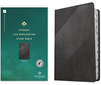 Nlt Student Life Application Study Bible, Filament Enabled (Leatherlike, Charcoal Gray Striped, Indexed, Red Letter)-..