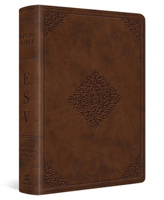 Study Bible-Esv-personal Size Ornament Design-..