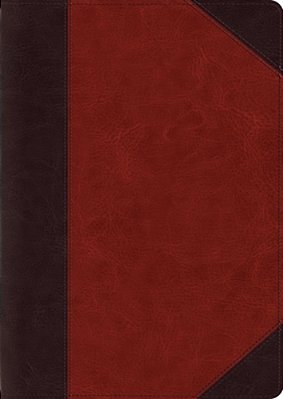 Esv Study Bible, Large Print (Trutone, Brown/Cordovan, Portfolio Design)-..