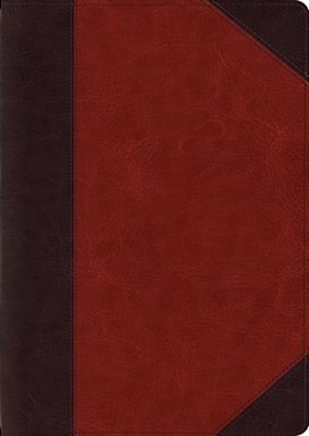 Esv Study Bible, Large Print (Trutone, Brown/Cordovan, Portfolio Design)-..
