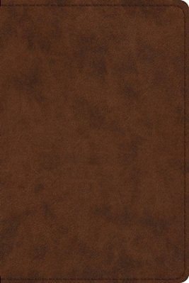 Study Bible-Esv-personal Size-..