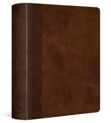Esv Journaling Study Bible (Trutone, Brown/Chestnut, Timeless Design)-..