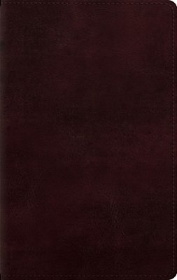 Large Print Personal Size Bible-Esv-..