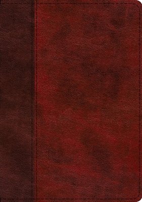 Esv Single Column Journaling Bible, Large Print (Trutone, Burgundy/Red, Timeless Design)-..