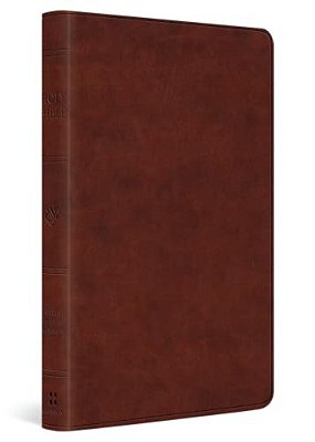 Esv Large Print Value Thinline Bible (Trutone, Chestnut)-..