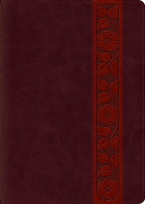 Study Bible-Esv-large Print Trellis Design-..