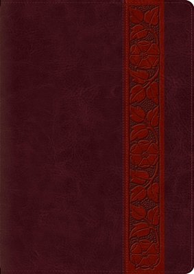 Study Bible-Esv-large Print Trellis Design-..