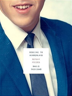 Digging To Wonderland: Memory Pieces-..