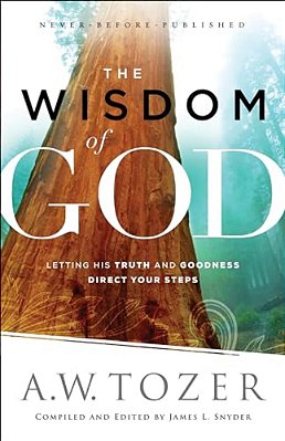 The Wisdom Of God: Letting His Truth And Goodness Direct Your Steps-..