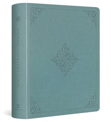 Esv Journaling Study Bible (Trutone Over Board, Paris Sky, Fleur-De-lis Design)-..