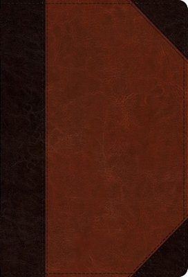 Esv Student Study Bible (Trutone, Brown/Cordovan, Portfolio Design)-..