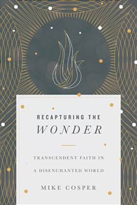 Recapturing The Wonder: Transcendent Faith In A Disenchanted World-..