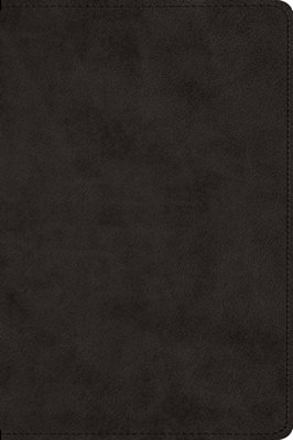 Large Print Bible-Esv-..
