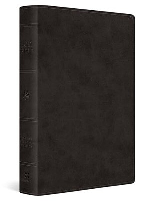 Esv Giant Print Value Thinline Bible (Trutone, Black)-..