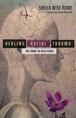Healing Racial Trauma: The Road To Resilience-..
